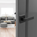 Privacy Door Handle Matte Black Lever Keyless Lock Left Right