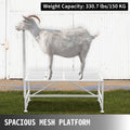 Livestock Trimming Stand 51x23 Metal Goat Sheep Shearing