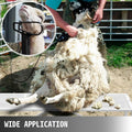 Livestock Trimming Stand 51x23 Metal Goat Sheep Shearing