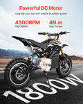 1800W 48V Brushless DC Motor 4500rpm E-Bike Dirt Bike