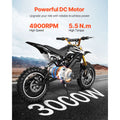 3000W Electric Brushless DC Motor, 72V 4900rpm Go Kart Electric Motor, Electric Dirt Bike Motor Engine for E-Bike Motorcycle Scooter DIY