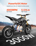 3000W 72V Electric Brushless Motor 4900rpm Go Kart E-Bike
