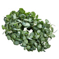 Artificial Eucalyptus Wreath 66cm Green Leaves Year Round