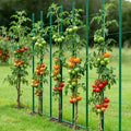 Garden Stakes 25 Pack 1800mm Metal Tomato Plant Support Non-Slip