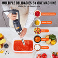 Immersion Blender 350W Commercial Heavy Duty Hand Mixer Soup