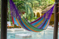 Mayan Legacy Queen Cotton Mexican Hammock Colorina Outdoor