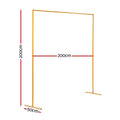 Backdrop Stand 2M Wedding Party Flower Balloon Display Golden
