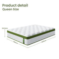BedStory QUEEN Latex Hybrid Mattress 34cm Medium Firm 5 Zone