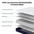 RoomSense Queen 26cm Firm Mattress Bundle with 2 Dual-Sided Cooling Pillows