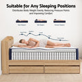 RoomSense Queen Firm Mattress 26cm Bundle with Storage Bed Frame