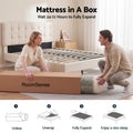 RoomSense SINGLE Mattress, 26cm Orthopedic Firm Mattress for Back Pain Relief, Pocket Spring Hybrid Mattress KING Size for Home & Rental