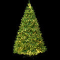 Jingle Jollys 2.1m Christmas Tree 8 Light Modes Multi Colour Xmas
