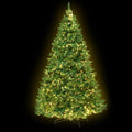 Jingle Jollys 1.8m Christmas Tree 874 LED 8 Light Mode