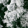 Jingle Jollys Christmas Tree 2.4m Snow Flocked 1165 Tips