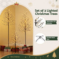Jingle Jollys 3 Pack LED Christmas Tree Lighted Birch Tree Indoor Outdoor Xmas Decor Warm White