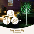 Jingle Jollys 1.7M Christmas Tree 120 RGB LED Lights
