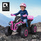Rigo Kids Ride On Car 12V ATV Quad Motorbike Storage Rack Electric Toys Pink