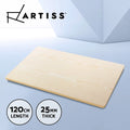 Artiss Standing Desk Top Motorised Sit Stand Desks White Oak 120CM