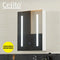 Bathroom Mirror Cabinet LED 500x720mm Medicine Wall Storage