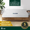 Giselle Bedding 13cm Mattress Tight Top Bed Bonnell Spring Medium Firm QUEEN