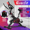 Everfit Spin Bike 10kg Flywheel Exercise Bike Fitness Workout Cycling